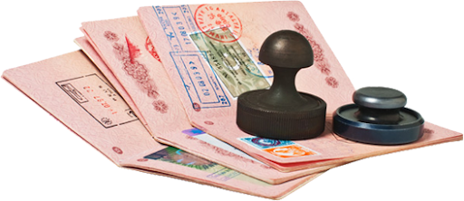 Консультация на получение визы (разбор ваших индивидуальных документов )+